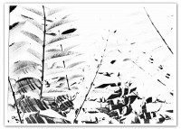 /album/fotografie-serie-sabatier/sab-02-jpg/